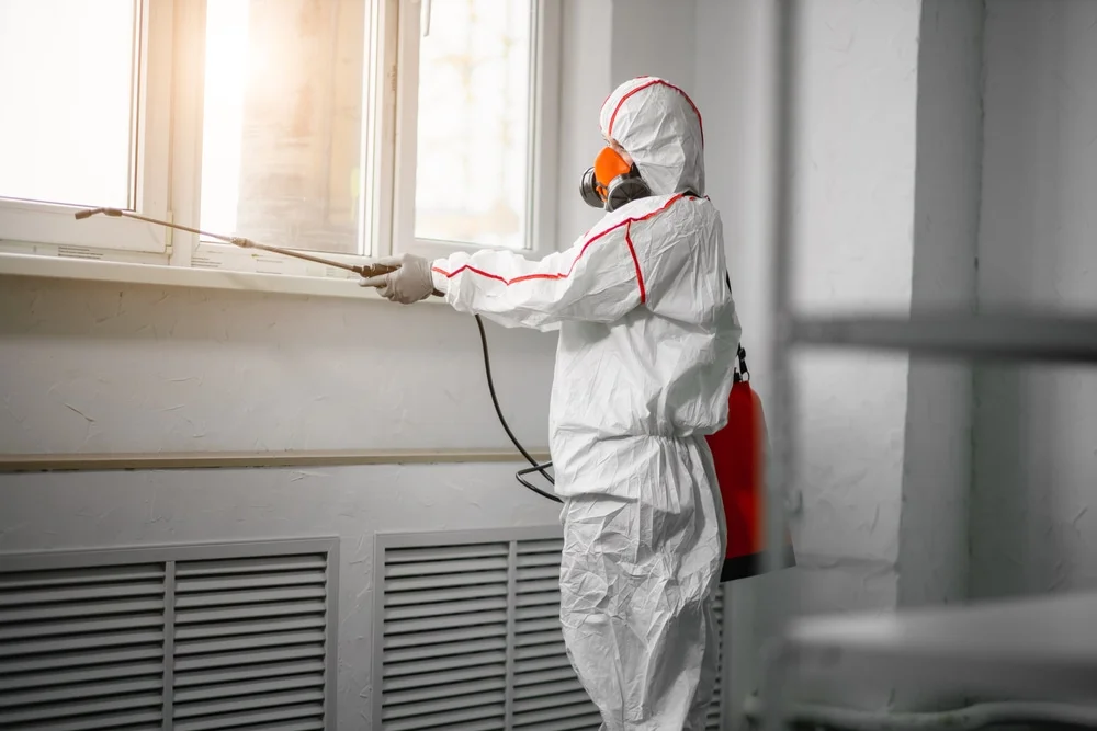 Professional mold remediation services in New Castle, NH